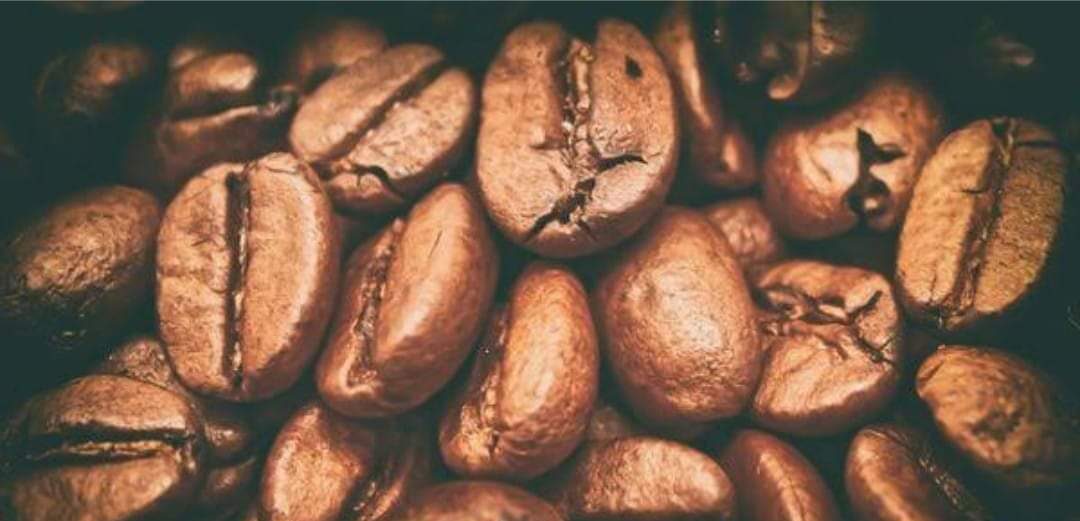 SABOR AMARGO